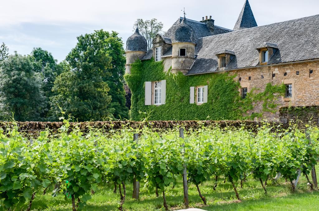 Chateau De Labro - Teritoria Onet-le-Château エクステリア 写真
