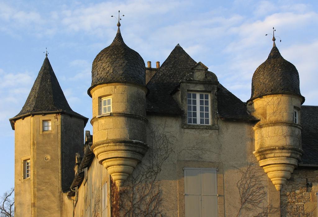 Chateau De Labro - Teritoria Onet-le-Château エクステリア 写真